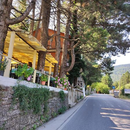 Hotel Toni Llogora Dukat Dış mekan fotoğraf