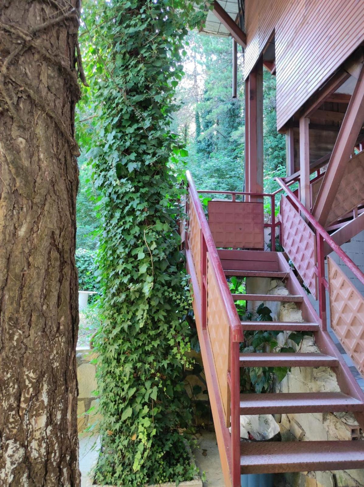 Hotel Toni Llogora Dukat Dış mekan fotoğraf